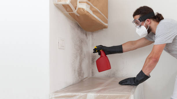 Professional Bathroom Mold Removal technician working in Warwick, MD