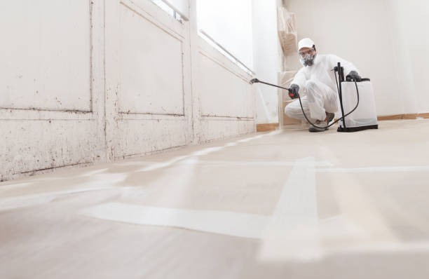 24/7 Emergency Bathroom Mold Removal experts in Warwick, MD